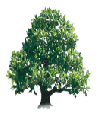 OakTree.gif